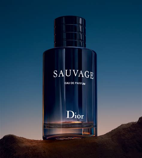 agua salvaje christian dior